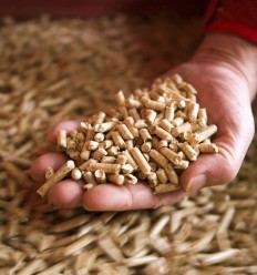 Pellets en vrac