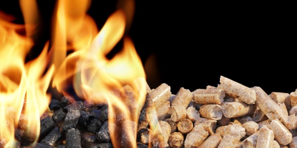 Les primes à l’énergie issue de la biomasse en Belgique